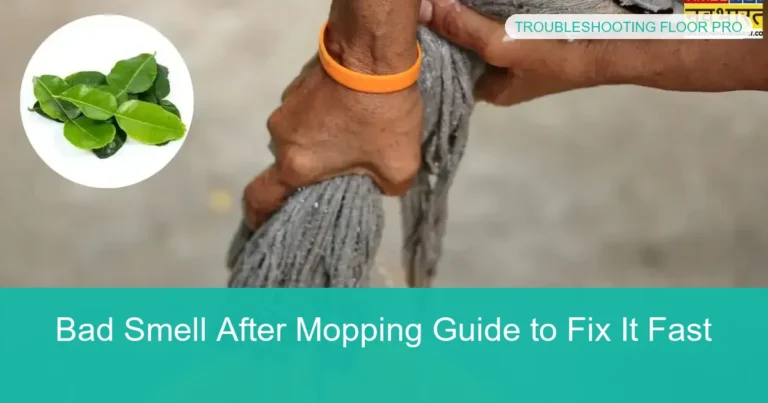 Complete visual guide to Bad Smell After Mopping Guide to Fix It Fast