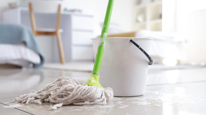 Fast Diagnosis: Pinpoint the Source of the Bad Smell After Mopping for Bad Smell After Mopping Guide to Fix It Fast