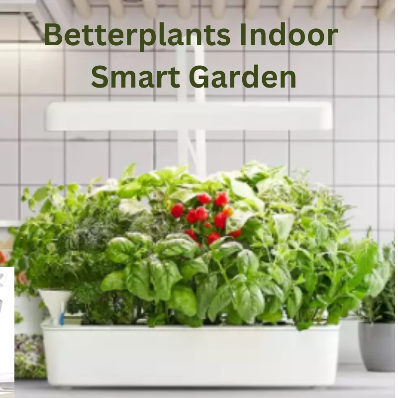 Which Balcony Floor Types Work Best for Plants and Daily Maintenance for Balcony Floor vs Garden Dirt Which Is Better for...
