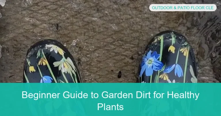 Complete visual guide to Beginner Guide to Garden Dirt for Healthy Plants