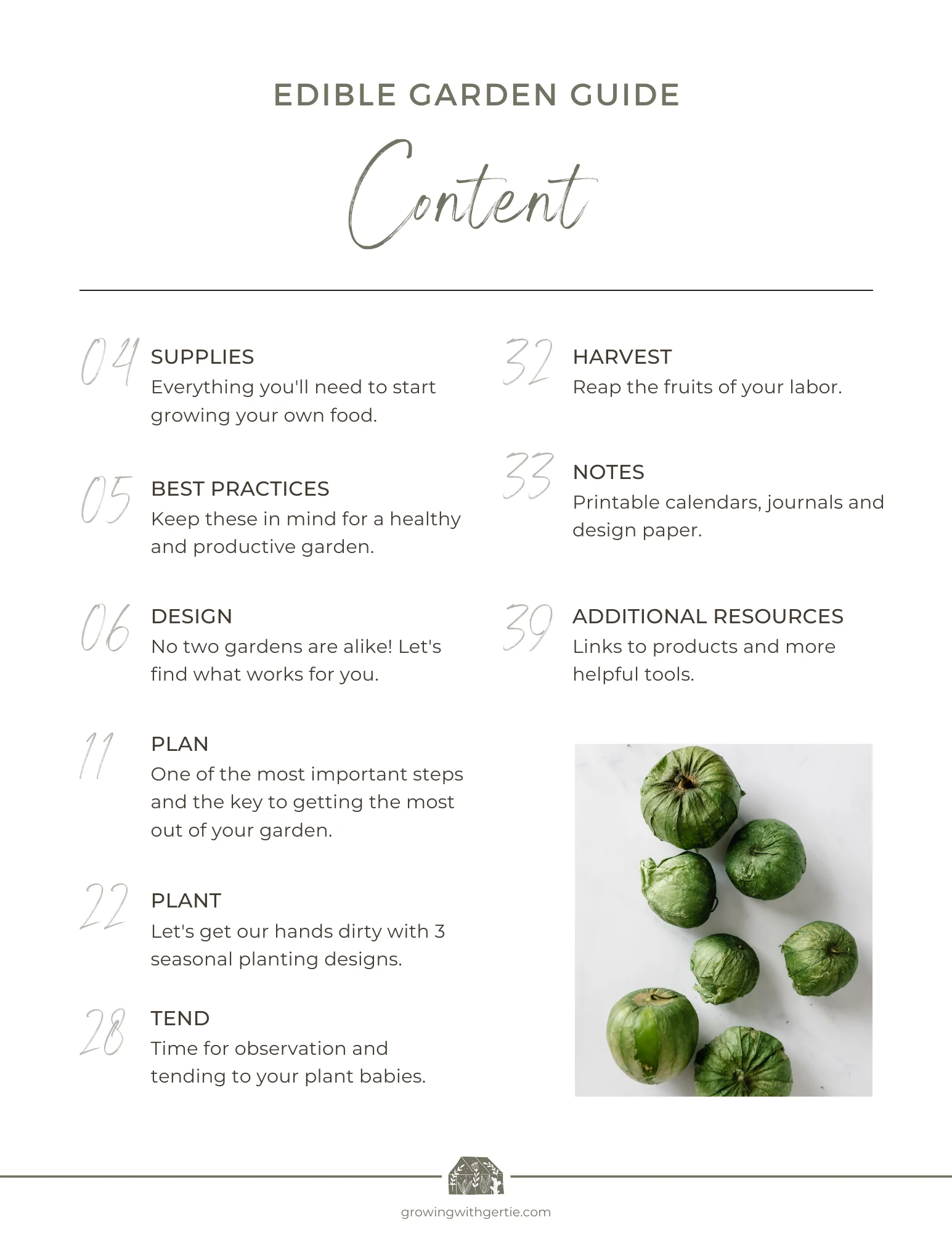 How to Test Garden Dirt Before You Use It for Beginner Guide to Garden Dirt for Healthy Plants