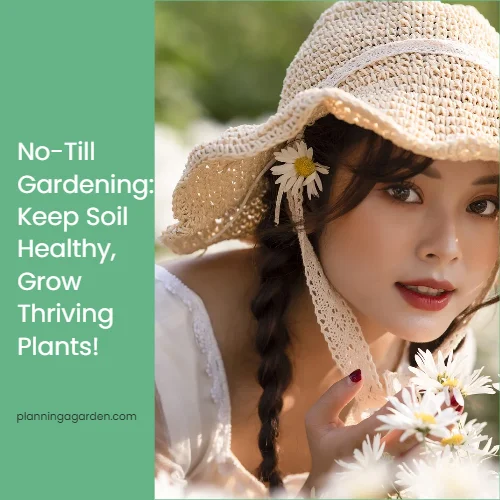 Choosing the Right Dirt for Your Garden Beds, Pots, and Raised Planters for Garden Dirt Guide for Healthy Soil and Better...