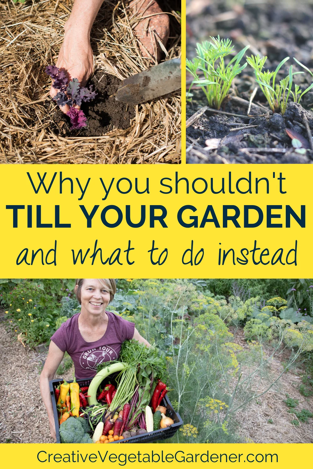 How to Prep Soil for Better Plants Without Creating a Bigger Cleanup Job for Garden Dirt Guide for Healthy Soil and Better...