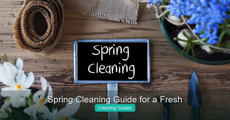 Spring Cleaning Guide for a Fresh Home This Season