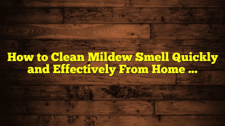 How to Clean Mildew Smell Quickly and Effectively From Home Fabrics and Surfaces