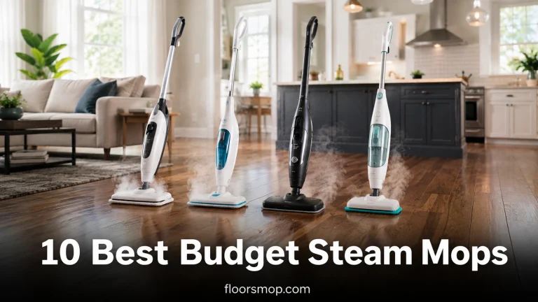 10 Best Budget Steam Mops